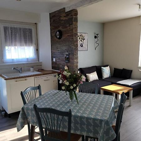 Appartement Au Cigogneau Wifi-Netflix-Balcon-Parking Munster  Zewnętrze zdjęcie