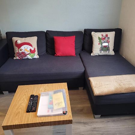 Appartement Au Cigogneau Wifi-Netflix-Balcon-Parking Munster  Zewnętrze zdjęcie