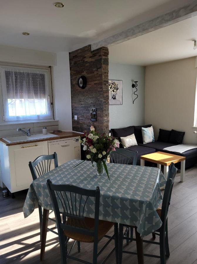Appartement Au Cigogneau Wifi-Netflix-Balcon-Parking Munster  Zewnętrze zdjęcie