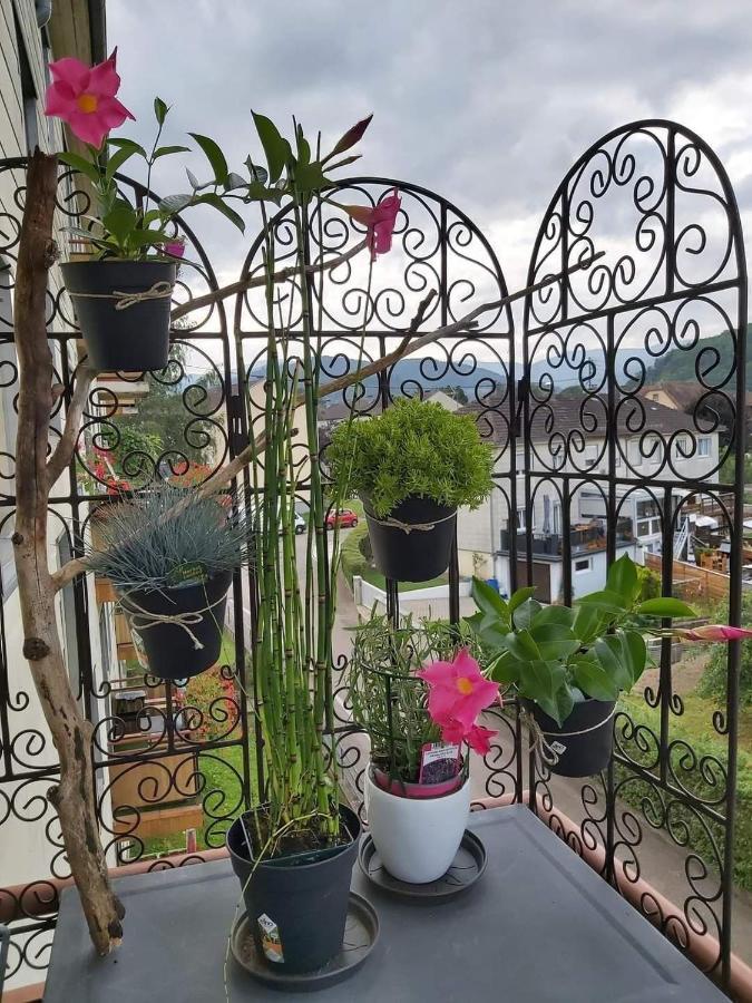 Appartement Au Cigogneau Wifi-Netflix-Balcon-Parking Munster  Zewnętrze zdjęcie